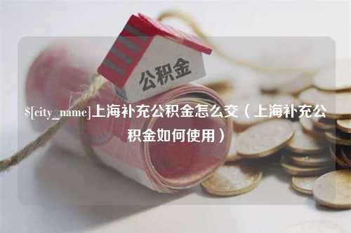 扶余上海补充公积金怎么交（上海补充公积金如何使用）